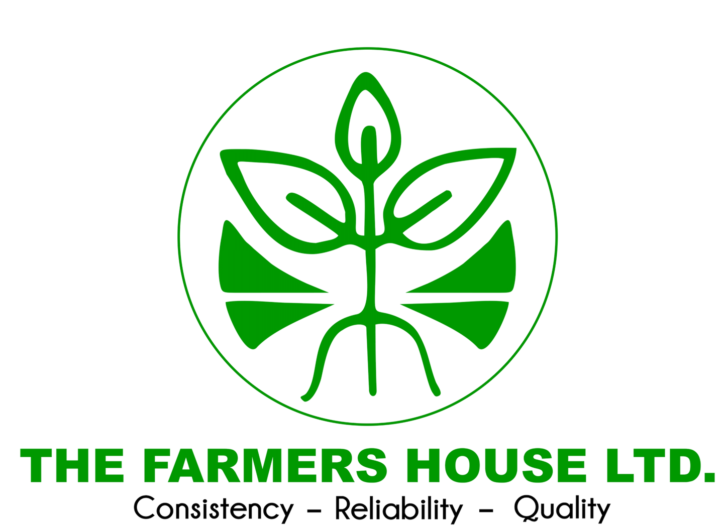 APEX - 10 1.9L CARTON