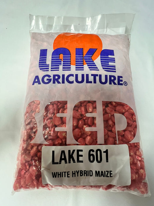 LAKE 601 WHITE HYBRID MAIZE SEED