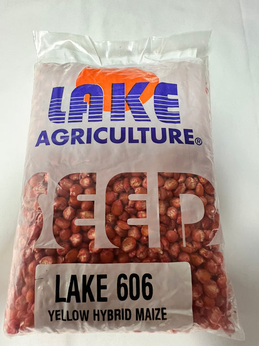 LAKE 606 YELLOW HYBRID MAIZE SEEDS 1KG